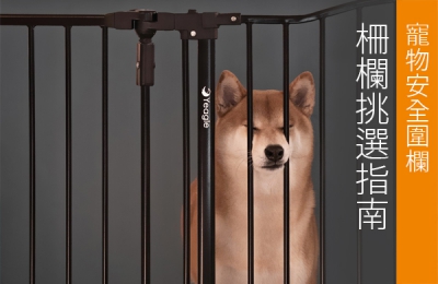 Pet Safety: Choosing the Right Fence