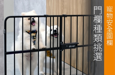 Pet Safety: Choosing the Right Gate
