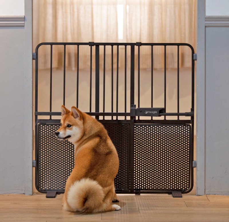80cm Extra Tall Gate for Medium and Large Breed Dogs