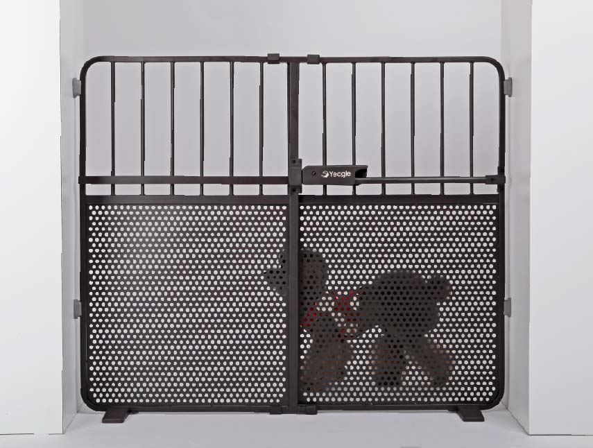Perforated Lower Panel - Dog Visible Through Gate