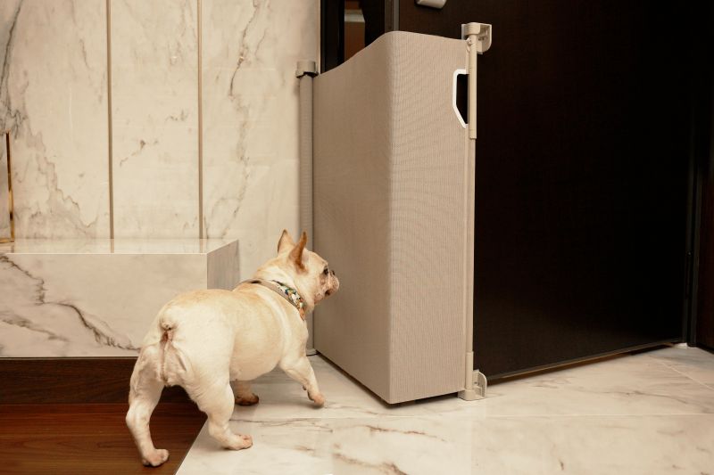 Peekaboo Catch PG18 - Retractable Front Door Dog Gate