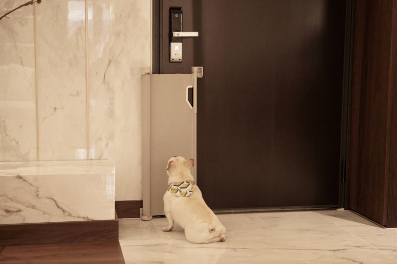 Retractable Gate Retracting into Wall Cartridge