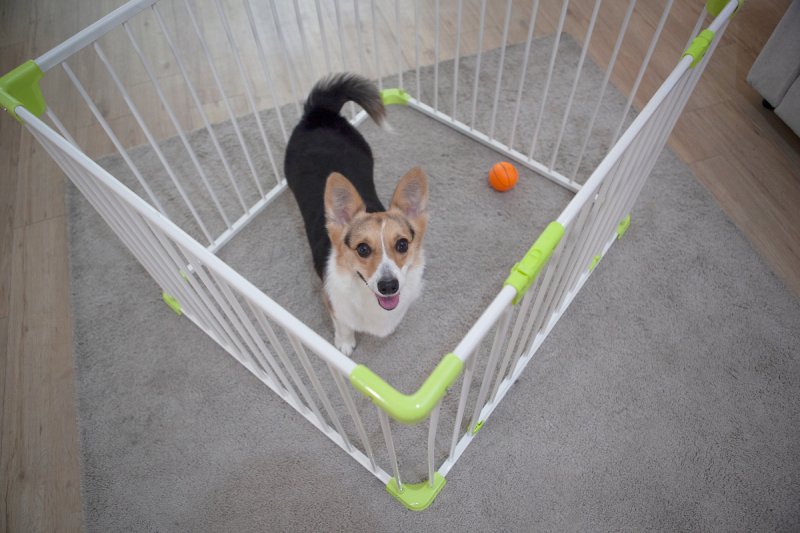Square Playpen PL19 - Safe Space for Dogs