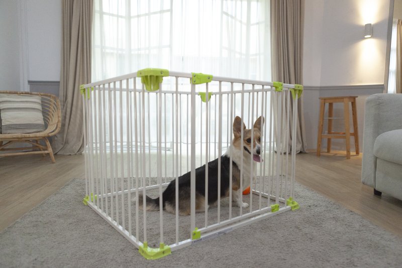 Safe Independent Space for Dogs