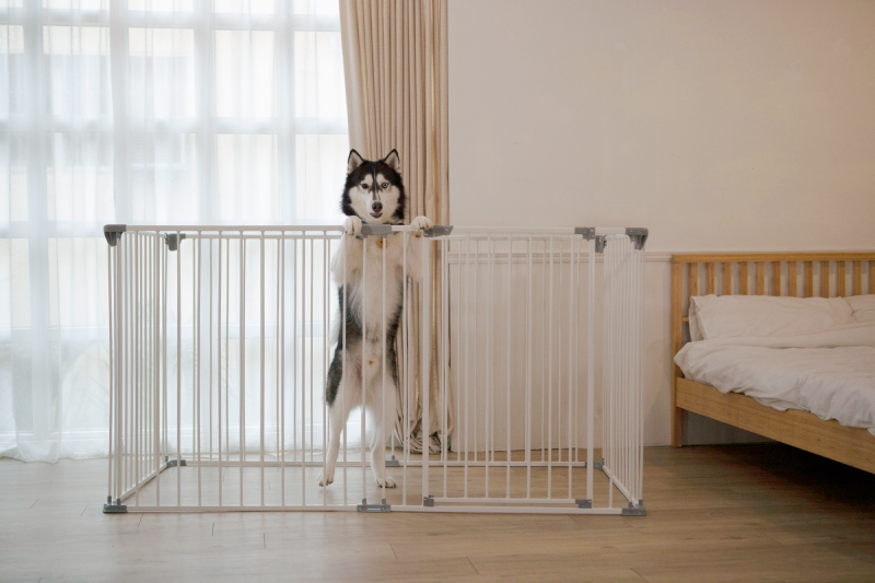 84cm Tall Metal Frame Playpen