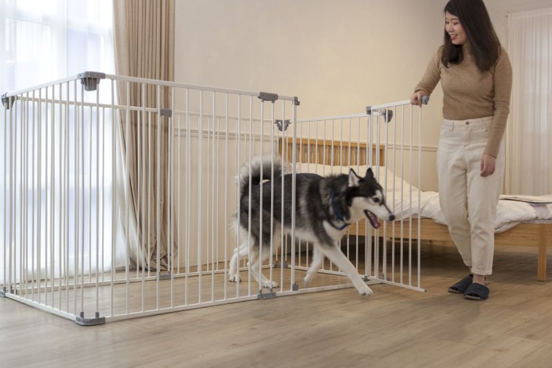 Safe Independent Space for Medium and Large Breed Dogs