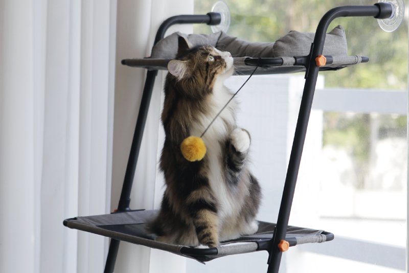 Sturdy Metal Frame - Safe for Cats