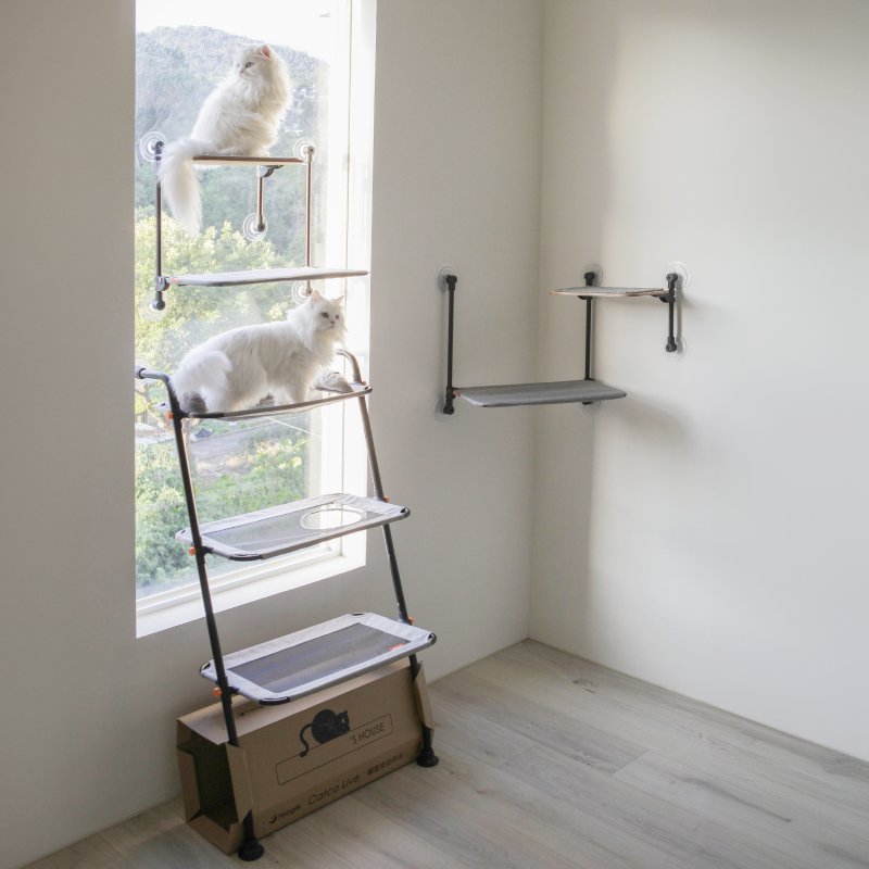 Catco Live + Catco Nap - Complete Vertical Territory System