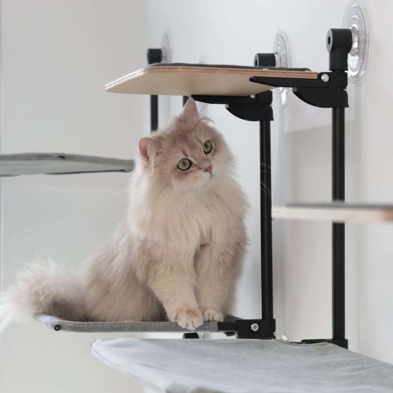 Modular Combination System