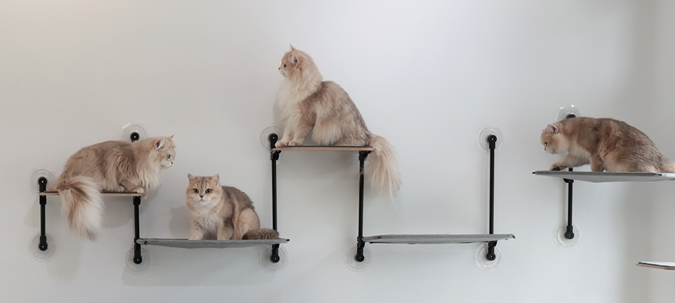 90-Degree Corner Installation