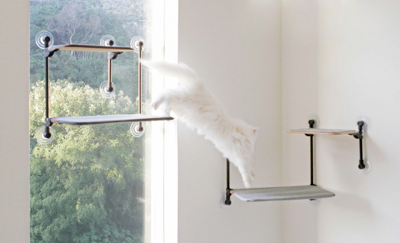 Safe Weight-Bearing Platform for Cats