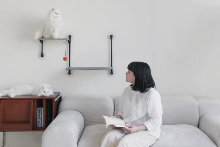 Human-Pet Coexistence Living Space